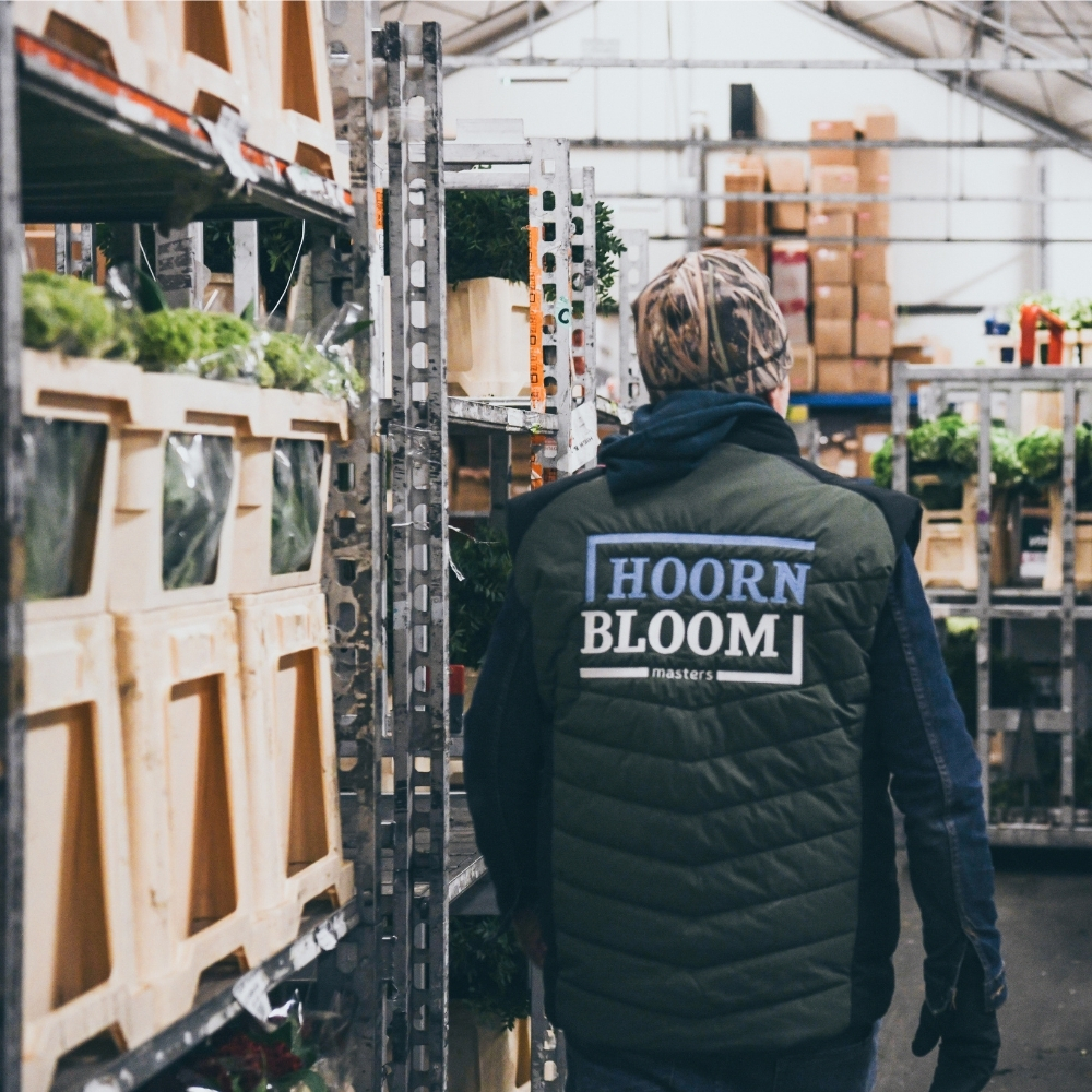 Hoorn Bloom Masters